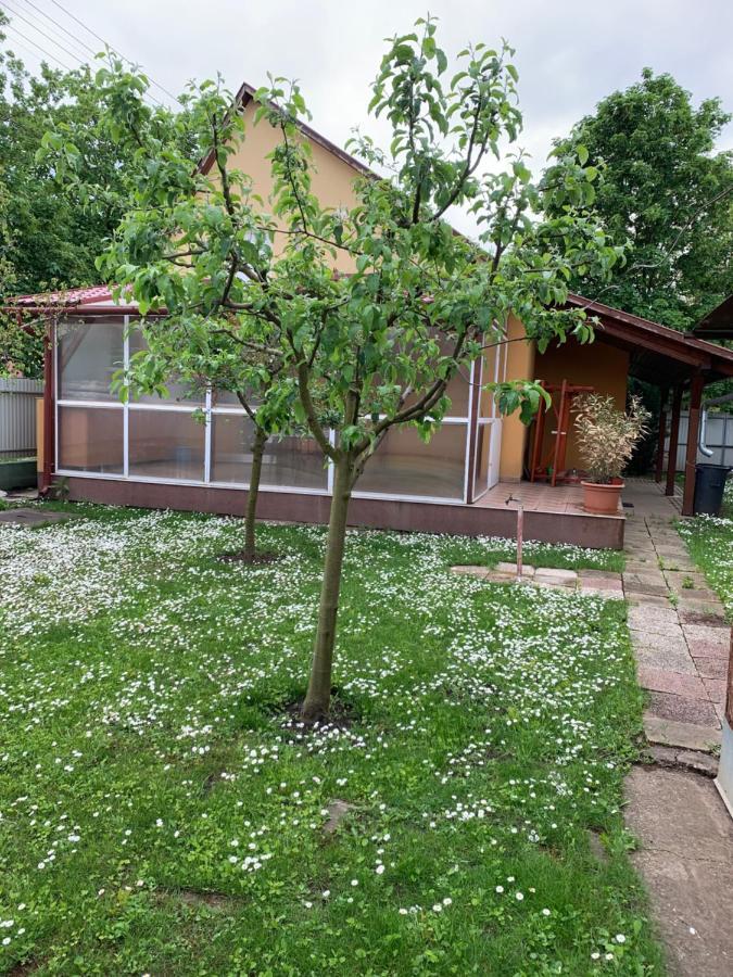 Eoetvoes Vendeghaz Villa Hajdúszoboszló Exteriör bild